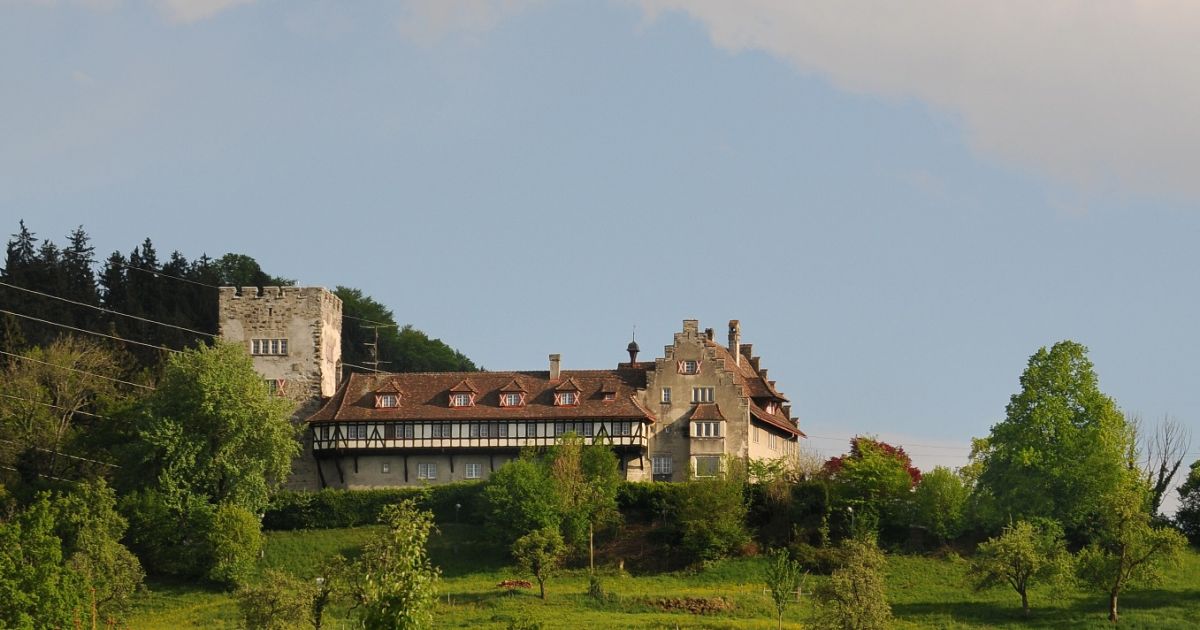 40 Jahre Bodensee-Radweg: Schlösser, Ried und Reben-Tour
