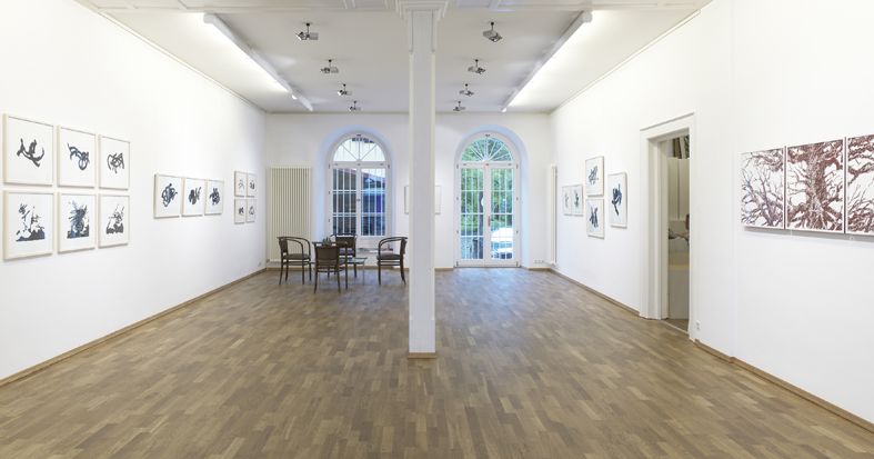 Galerie Arthouse, Bregenz