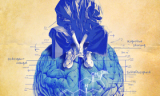image-400-d3bce99d4b93add080b31b993e0f0d96.png