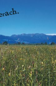 Lauterach - Ortsplan