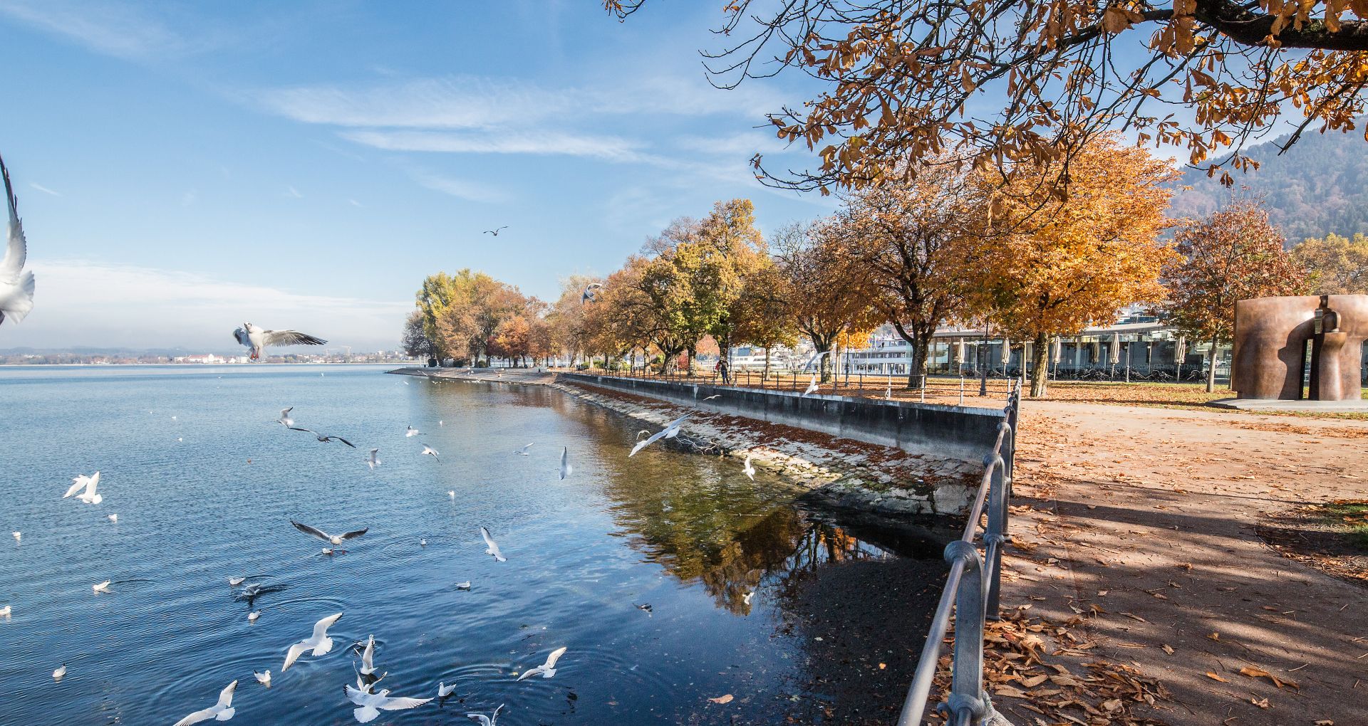 Bregenz am See im Herbst