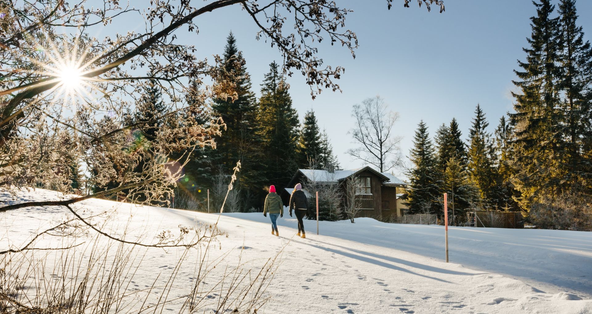 Winterwandern im Schnee bei Sonne am Bödele