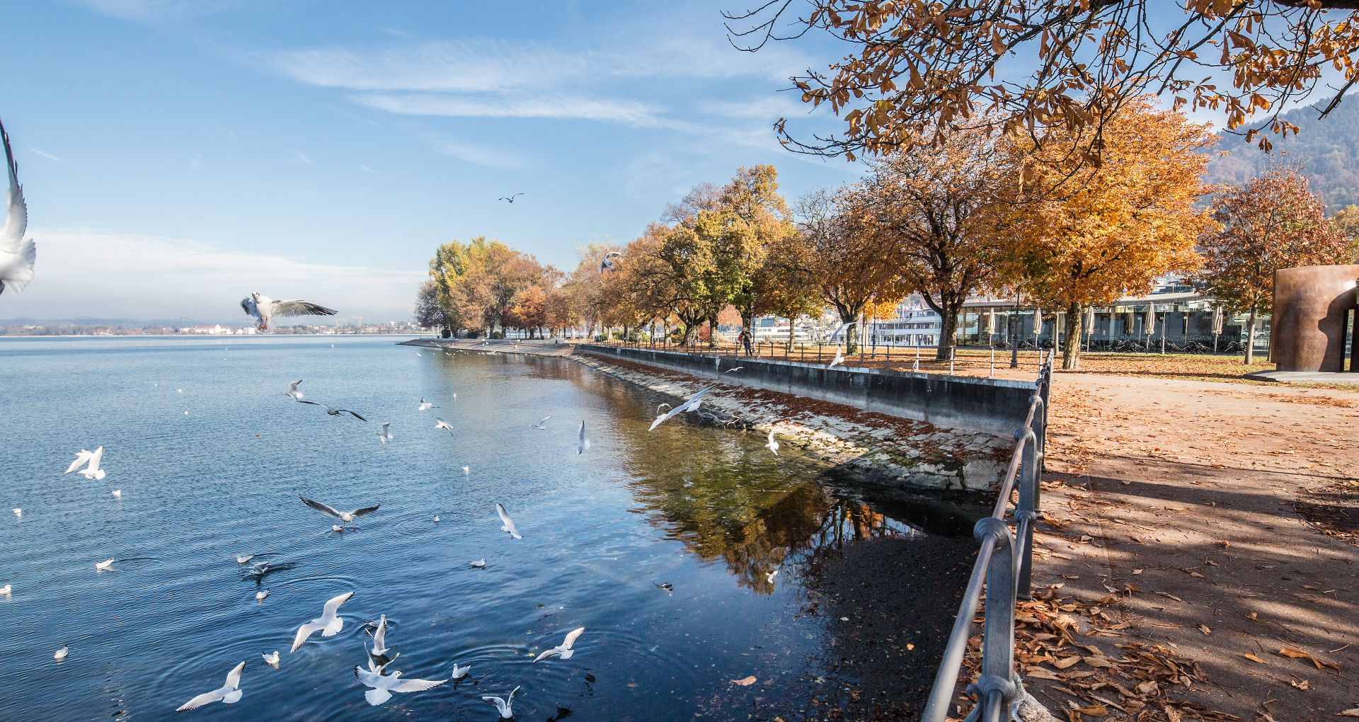Herbst am See Herbst am See
