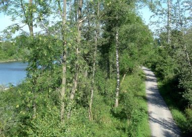 Barrierefrei: An der Bregenzerach – Der Uferrundweg Lauterach-Rieden Barrierefrei: An der Bregenzerach – Der Uferrundweg Lauterach-Rieden