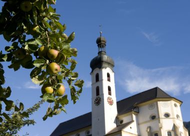 Barrierefrei - gemütlicher Spaziergang von St. Anton im Montafon nach Tschagguns Barrierefrei - gemütlicher Spaziergang von St. Anton im Montafon nach Tschagguns