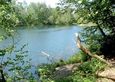 Barrierefrei: Am Alten Diepoldsauer Rhein – Rundwanderung Lustenau-Schmitter Barrierefrei: Am Alten Diepoldsauer Rhein – Rundwanderung Lustenau-Schmitter