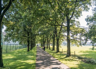 12 Spaziergänge mit Kinderwagen und Rollstuhl 12 Spaziergänge mit Kinderwagen und Rollstuhl