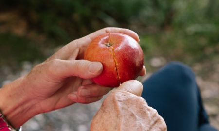 Apfel teilen Apfel teilen