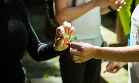 2020-07 - Kräuterwanderung-20 2020-07 - Kräuterwanderung-20