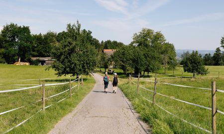Wandern in Hörbranz © Jessica Lerchenmüller, Bodensee-Vorarlberg Tourismus  Wandern in Hörbranz