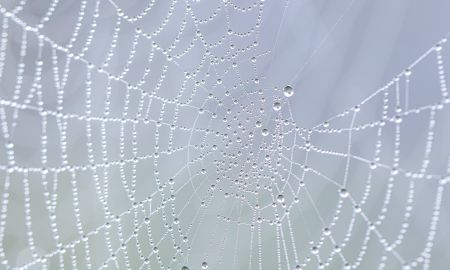 Brini Fetz, Spinnwebe in Kälte Brini Fetz, Spinnwebe in Kälte