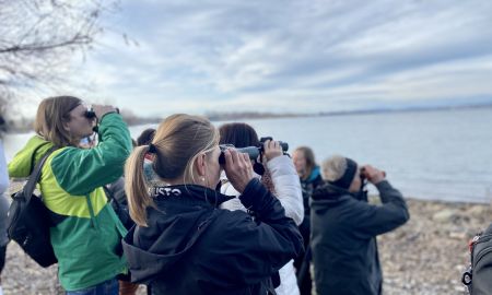Vorarlberger Naturpicknick Birdwatching Hard Vorarlberger Naturpicknick Birdwatching Hard