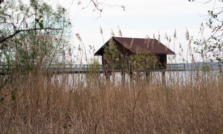 Mehrerau Bodenseeufer