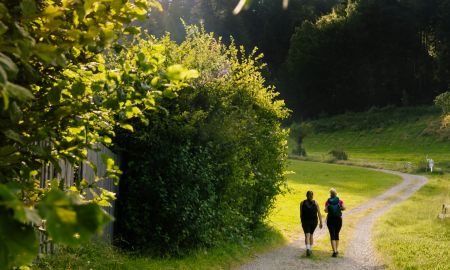 Wandern auf Forstweg mit Sonne