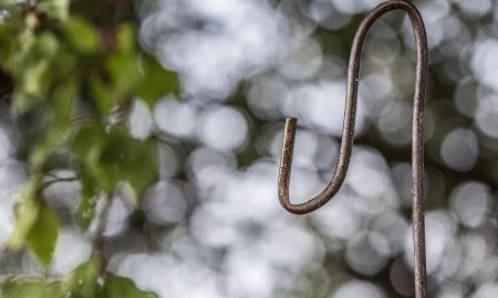 Schnapsgeschichte - Roland Adlassnigg Schnapsgeschichte - Roland Adlassnigg
