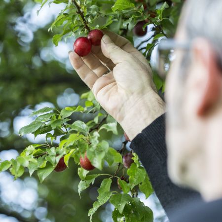 Regionale Produkte Regionale Produkte