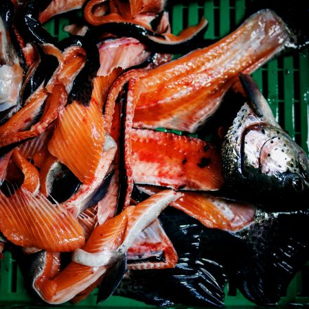 Laendlefisch©matakstudios(7)