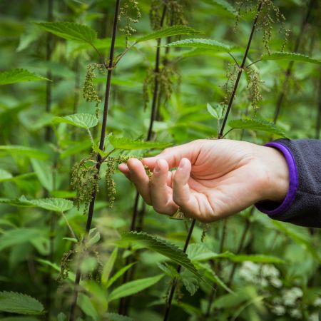 2020-07 - Kräuterwanderung-66