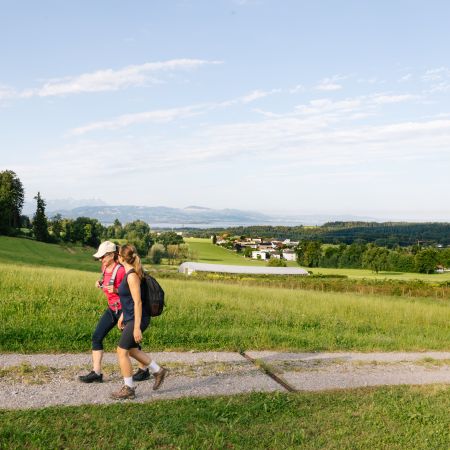 Wanderung mit Blick auf den Bodensee