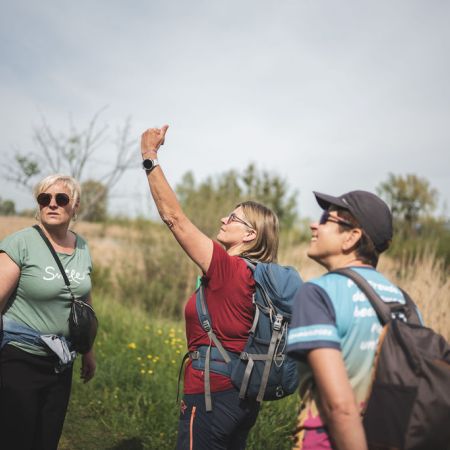 Naturpicknick Kräuterwanderung Schleienlöcher   Naturpicknick Kräuterwanderung Schleienlöcher