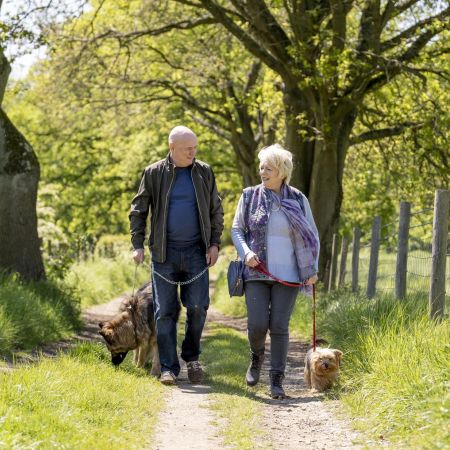 23 Walks - Mit Herz und Hund, TaSKino 2022 2022 bild GR TaS 23 walks.jpg