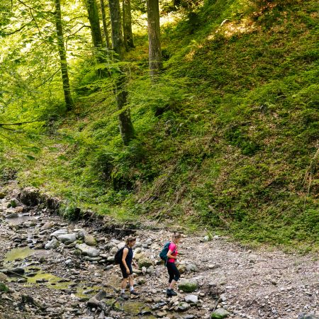 Wandern über den Bach