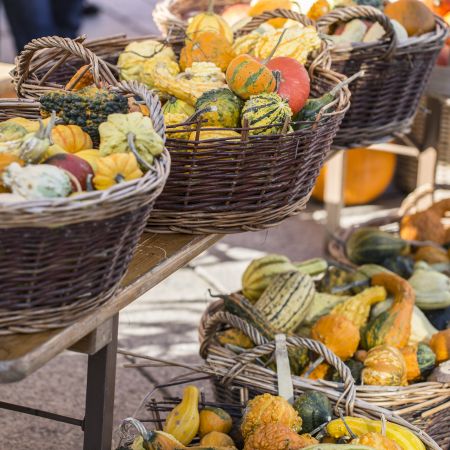 Kürbisse am Markt in Dornbirn Herbst Kürbisse am Markt in Dornbirn Herbst