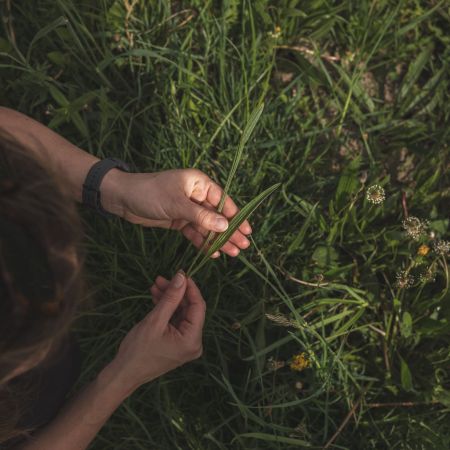 Naturpicknick Kräuterwanderung Schleienlöcher  Naturpicknick Kräuterwanderung Schleienlöcher