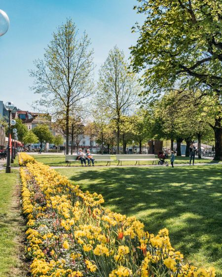 Molo ©Christiane Setz - visitbregenz (2)