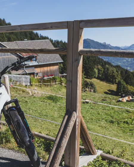 E-Bike, Seilbahn Schnifis