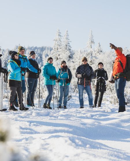 Naturpicknick Bödele Naturpicknick Bödele