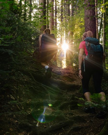 Wandern im Wald Wandern im Wald