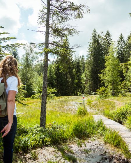 2020-07 - Kräuterwanderung-39