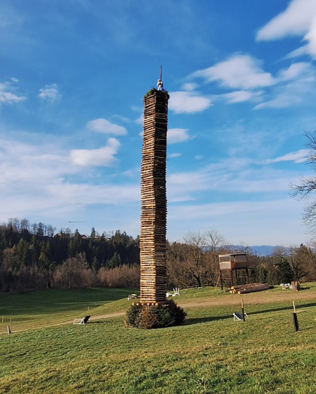 Funken am Montikel 2026_Funken_am_Montikel_2026_Funkenzunft_Tostes_Dorf.png