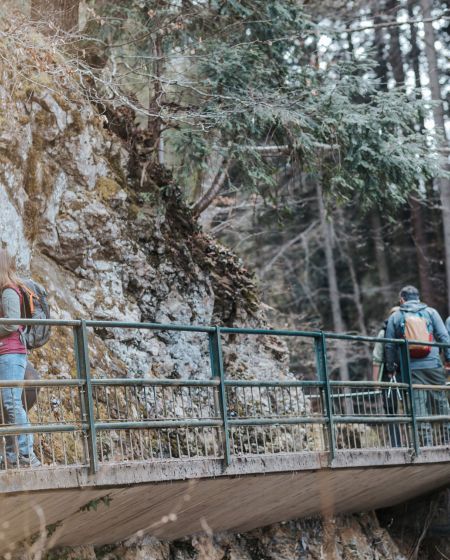 Vorarlberger Naturpicknick Örflaschlucht