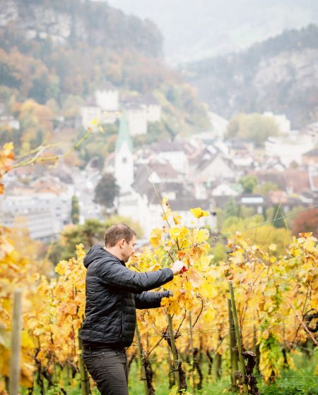Wein Fulterer, Feldkirch Wein Fulterer, Feldkirch