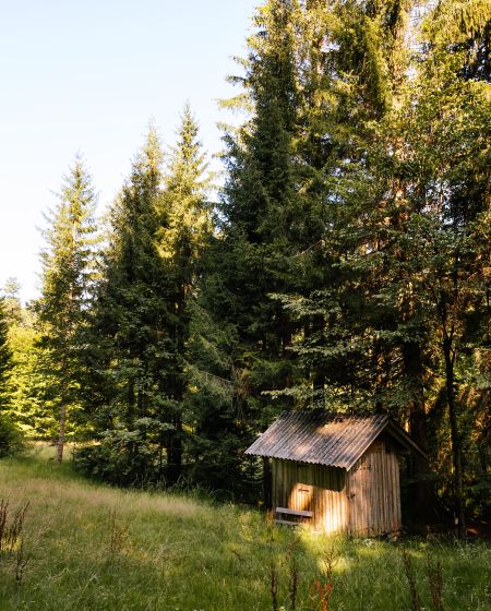 Hütte am Waldrand
