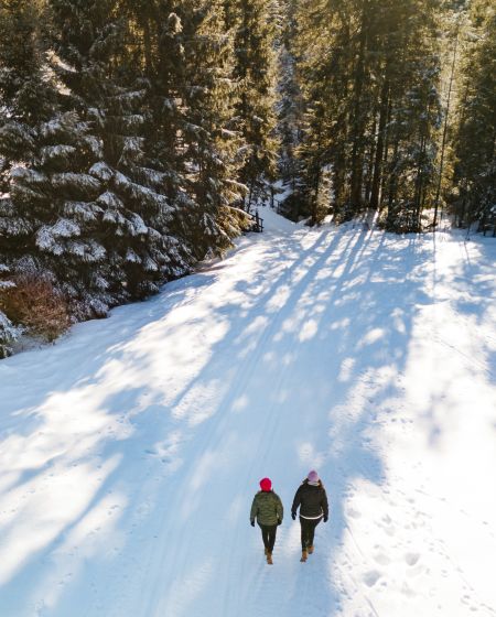Winterwandern durch verschneite Landschaft am Bödele Winterwandern durch verschneite Landschaft am Bödele