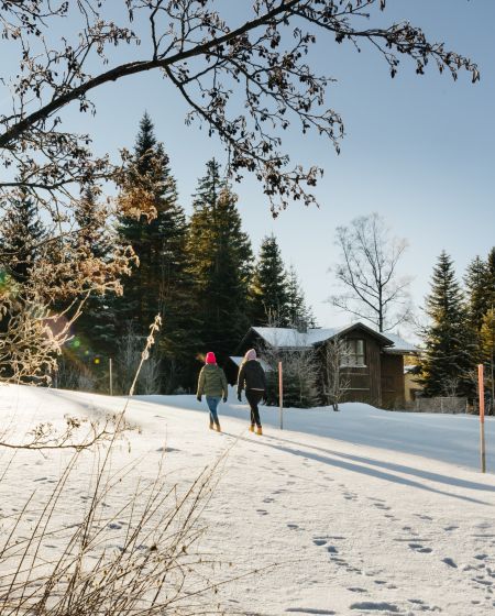 Winterwandern im Schnee bei Sonne am Bödele Winterwandern im Schnee bei Sonne am Bödele