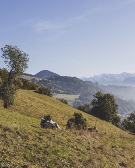 Aussicht Viktorsberg