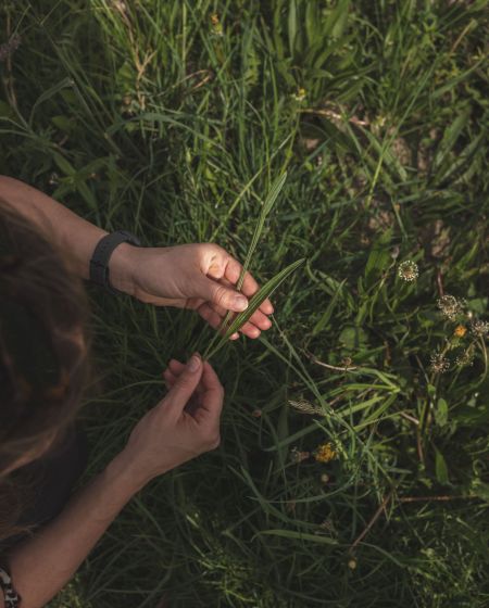 Naturpicknick Kräuterwanderung Schleienlöcher 