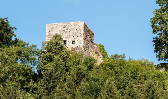Burgruine Tosters Burgruine Tosters