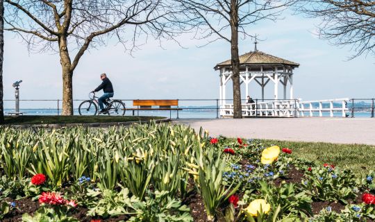 Frühling an der Seepromeande in Bregenz Frühling an der Seepromeande in Bregenz