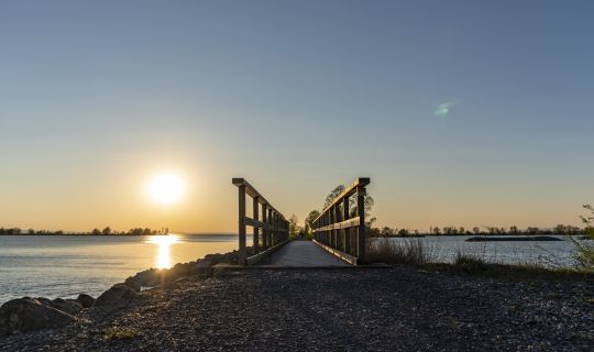 Lagunenrundweg Fußach Lagunenrundweg Fußach
