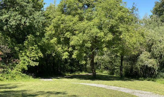 Höchst Höchst