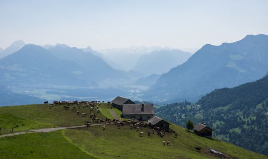 Blick auf Amerlugalpe, Frastanz Blick auf Amerlugalpe, Frastanz