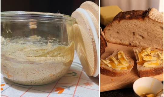 Fermentieren: Sauerteig around the world 2025 Sauerteig_3.png