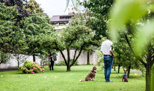 Montforter Zwischentöne Pause 2016 Picknick Konzert Montforter Zwischentöne Pause 2016 Picknick Konzert