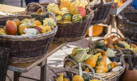 Kürbis beim Markt in Dornbirn im Herbst Kürbis beim Markt in Dornbirn im Herbst