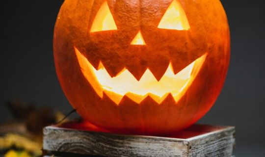 Halloween Halloween